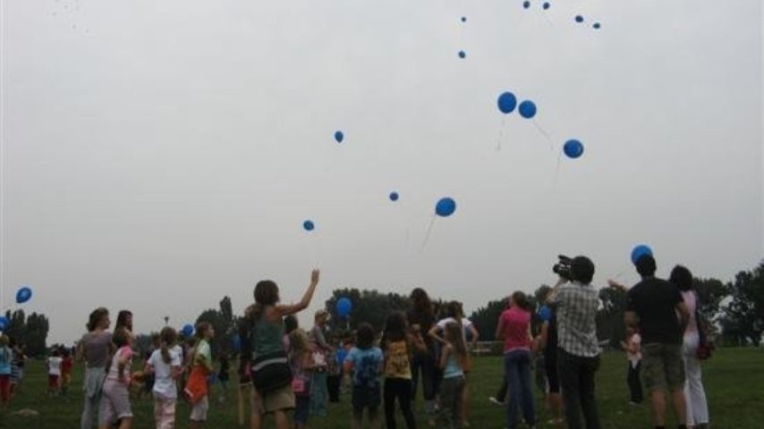 2008 (10)